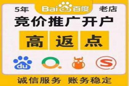 百度SEO推广成功案例：品牌知名度提升